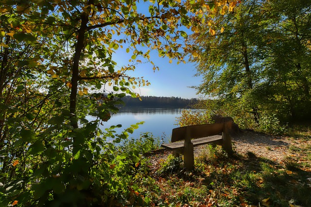 关键比赛的 关键比赛的