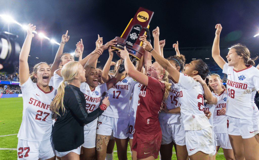 這並不意味 這並不意味